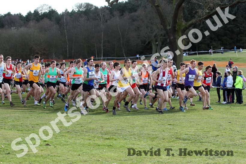 Senior mens start, McCain Inter Counties Cross Country, Cofton Park, Birmingham.